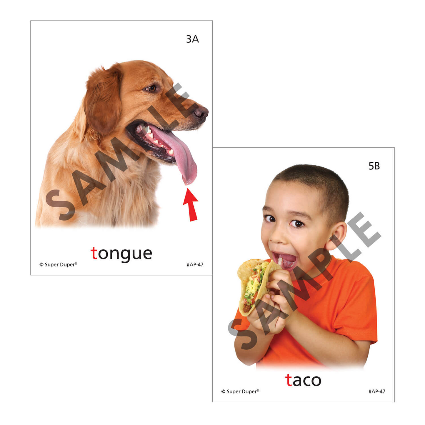 Artic Photos Fun Decks - Bundle 2