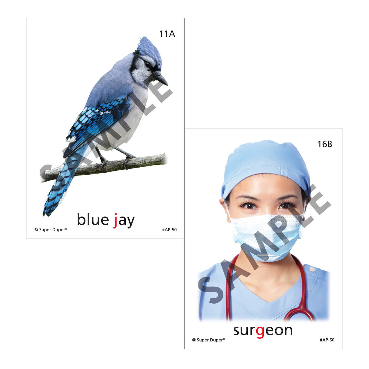 Artic Photos Fun Decks - Bundle 2