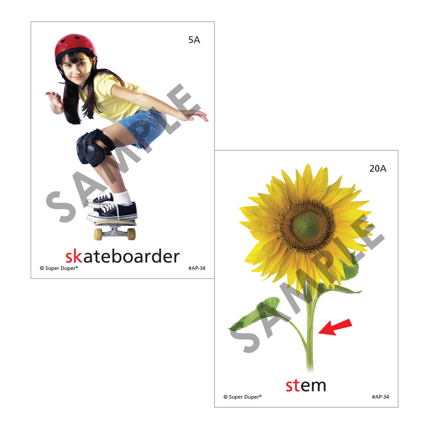 Artic Photos Fun Decks - Bundle 1