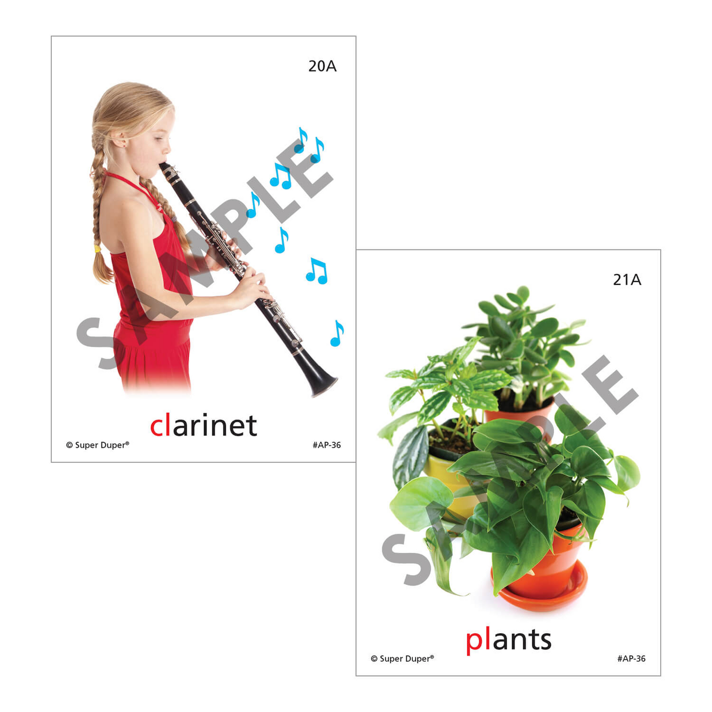Artic Photos Fun Decks - Bundle 1