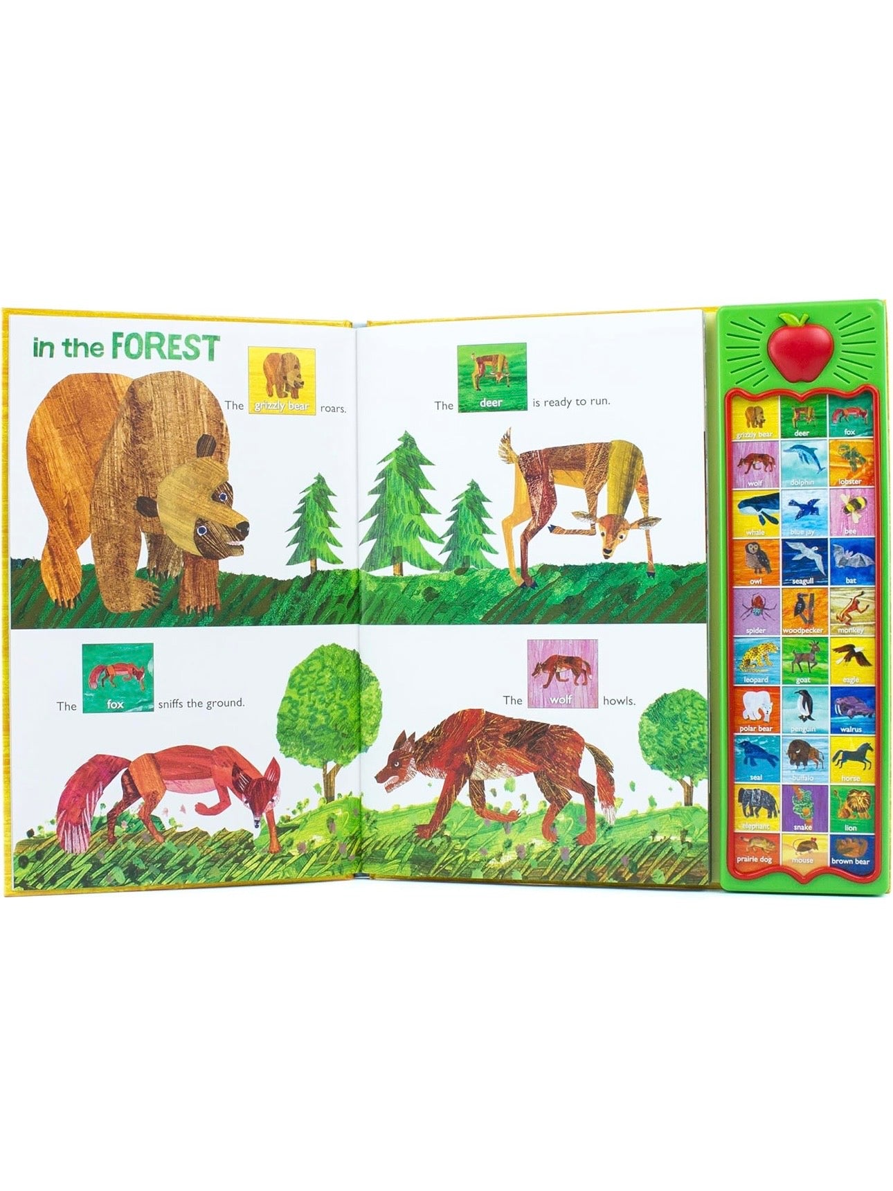 Hear Bear Roar - World of Eric Carle
