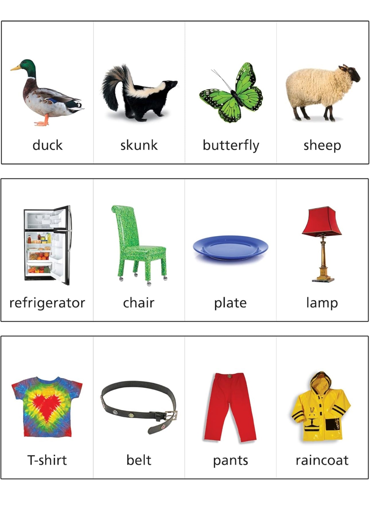 Photo Classifying Flips