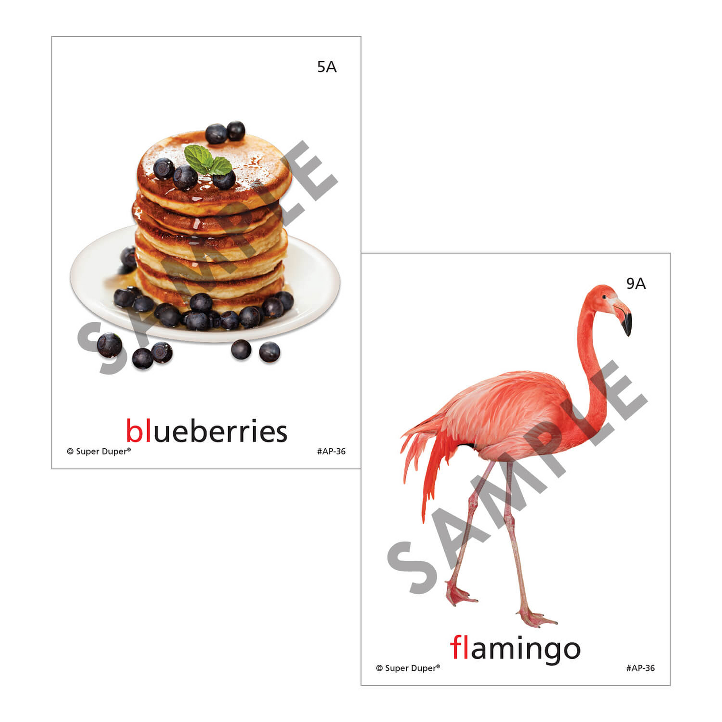 Artic Photos Fun Decks - Bundle 1