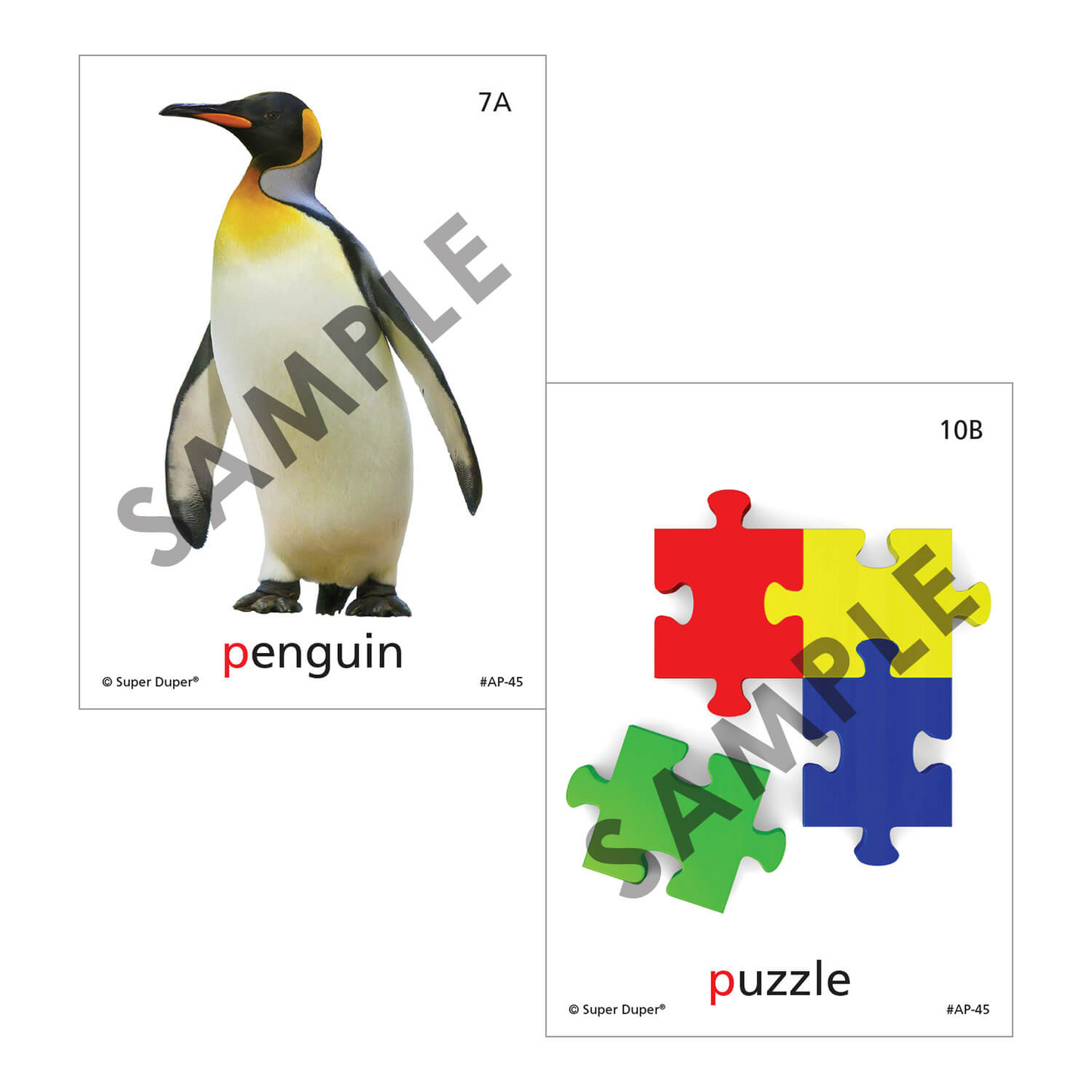 Artic Photos Fun Decks - Bundle 2