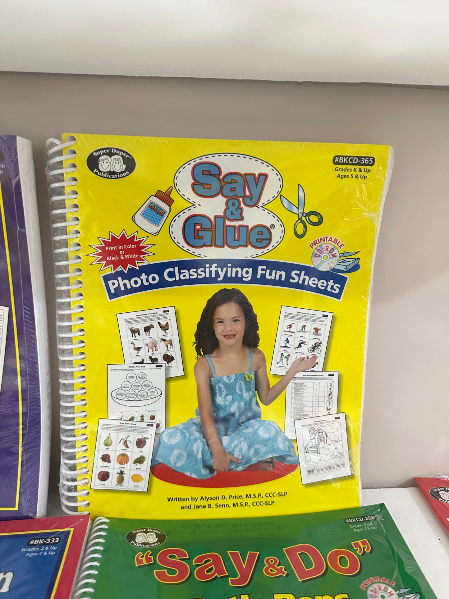 Say and Glue Photo Classifying Fun Sheets