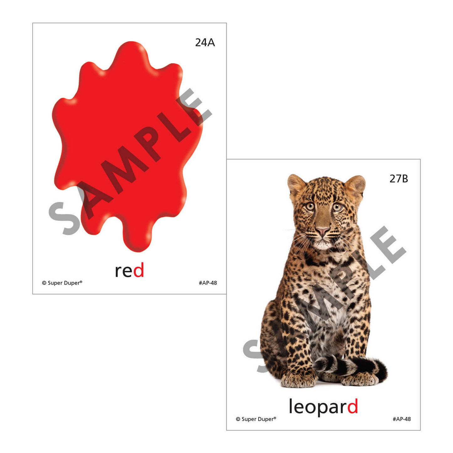 Artic Photos Fun Decks - Bundle 2