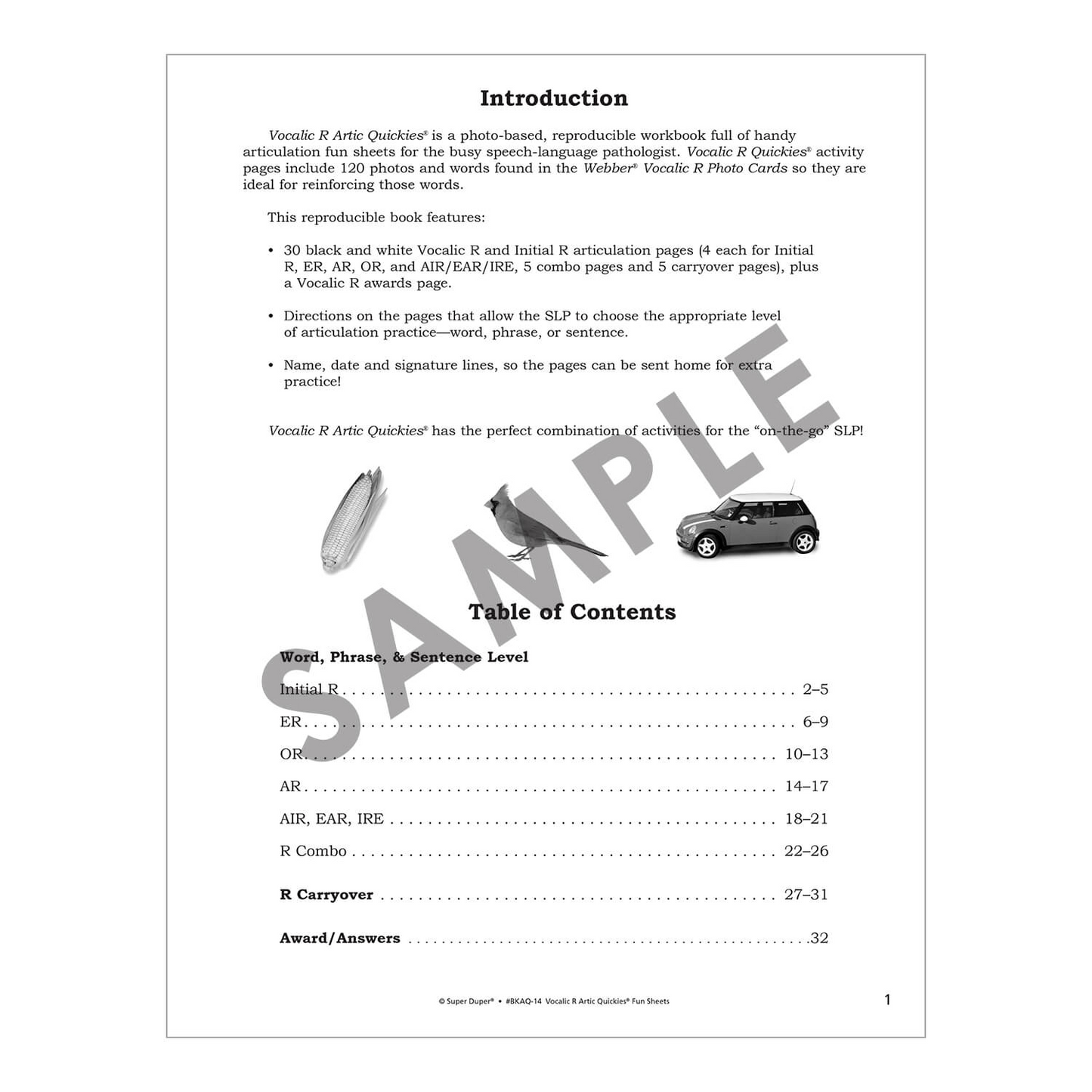 Artic Quickies Reproducible Workbook for Vocalic R