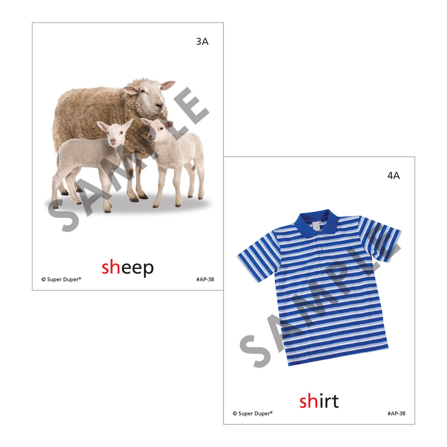 Artic Photos Fun Decks - Bundle 1