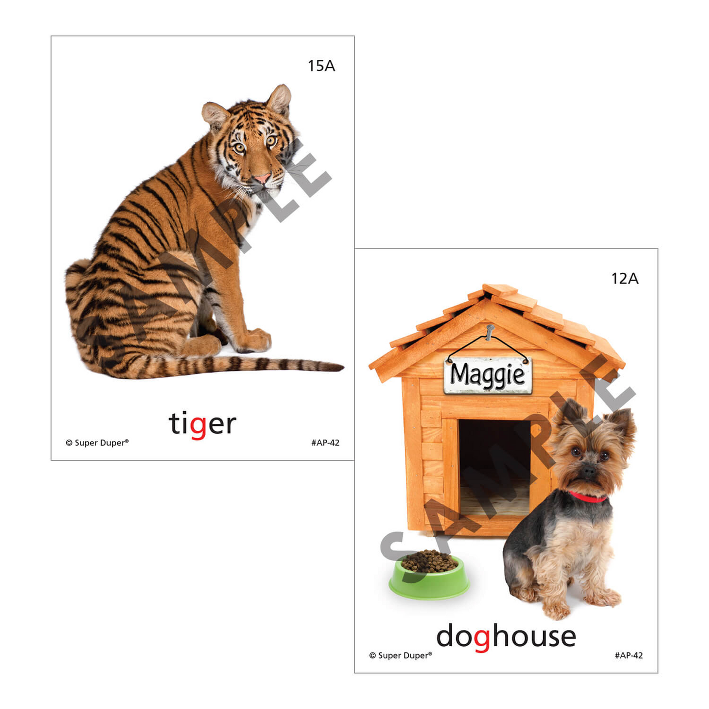 Artic Photos Fun Decks - Bundle 2
