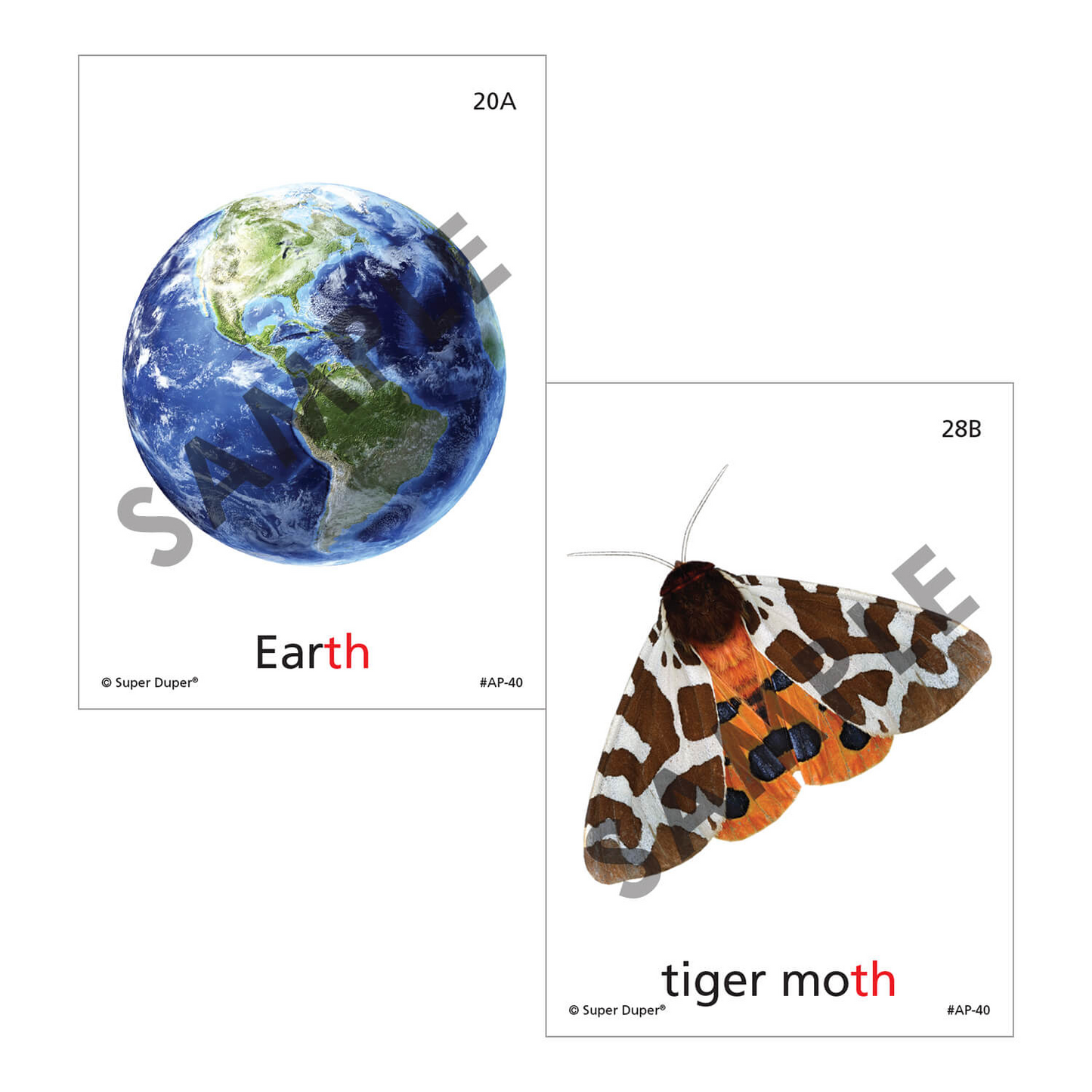 Artic Photos Fun Decks - Bundle 1
