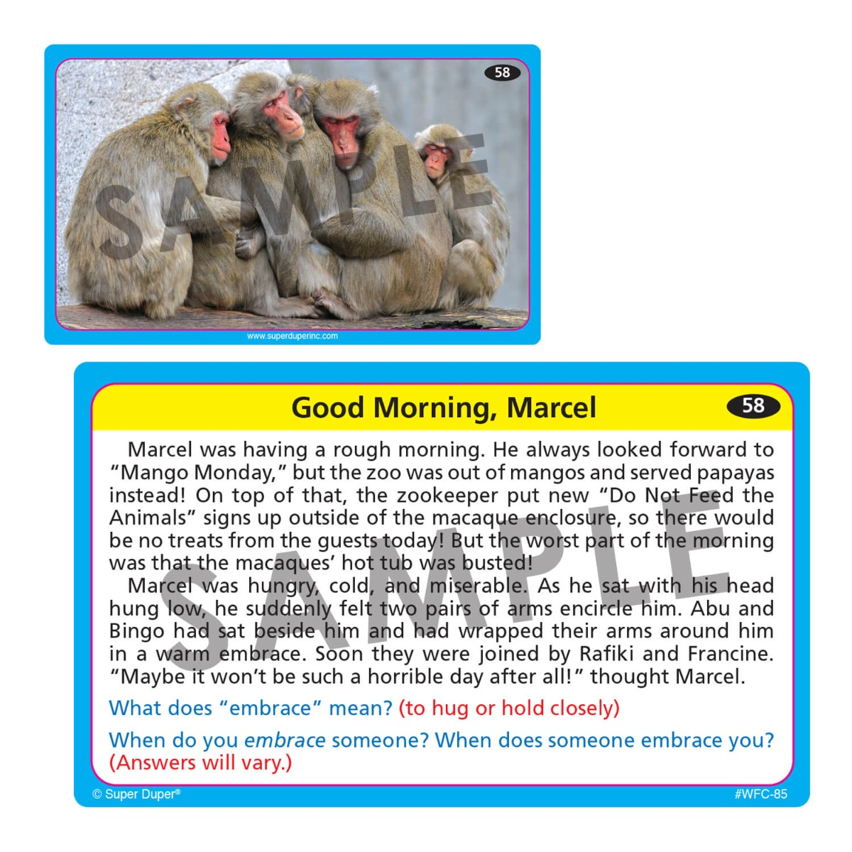 Webber Photo Cards - Story Retell