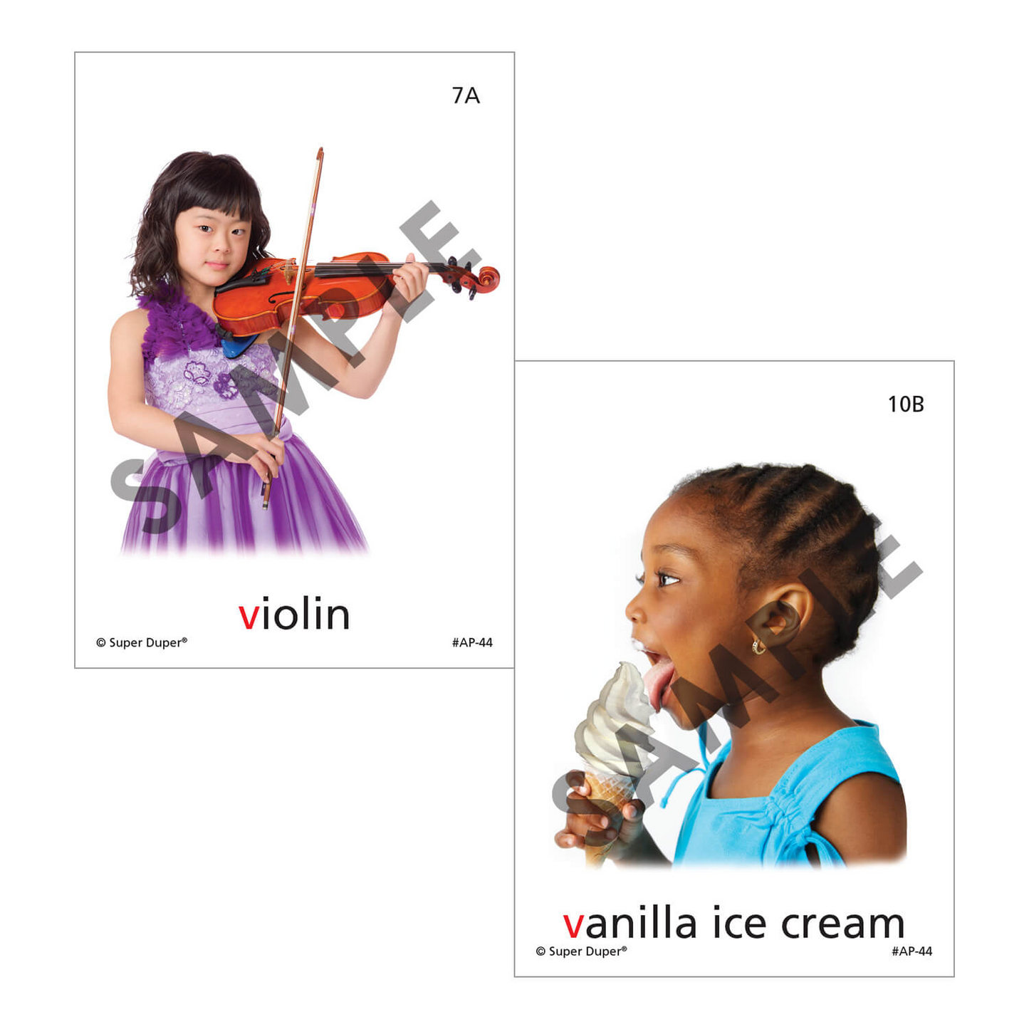 Artic Photos Fun Decks - Bundle 2