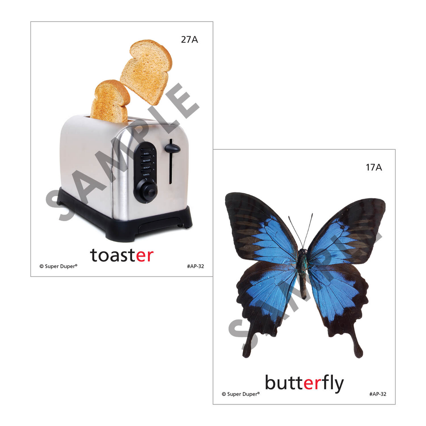 Artic Photos Fun Decks - Bundle 1