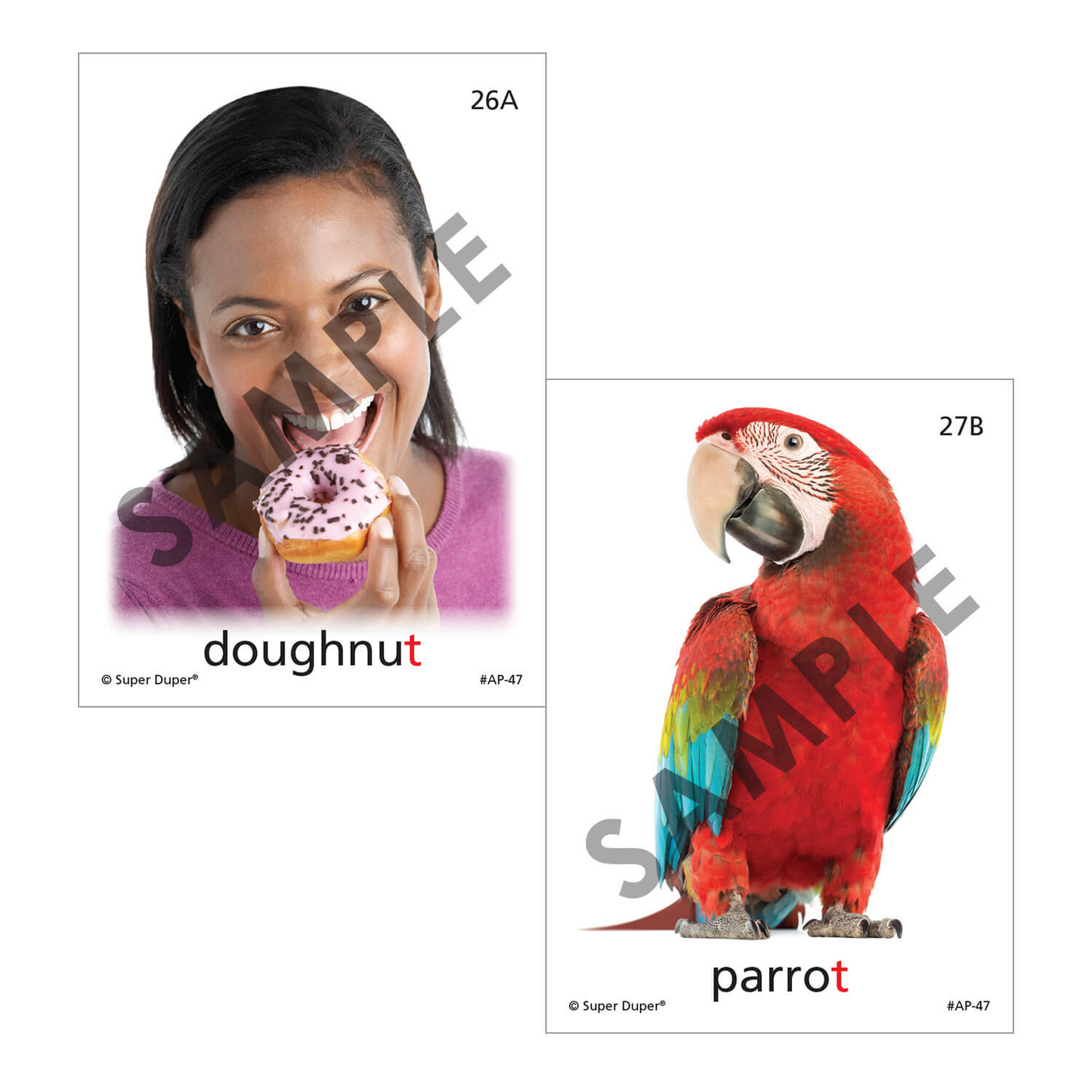 Artic Photos Fun Decks - Bundle 2