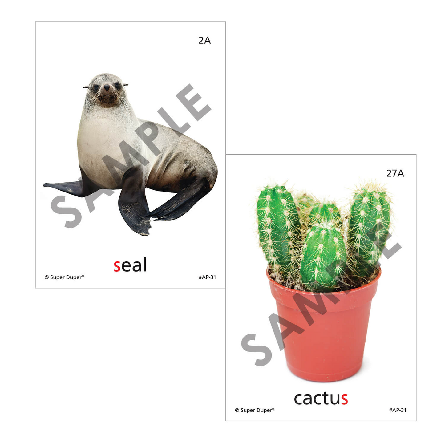 Artic Photos Fun Decks - Bundle 1