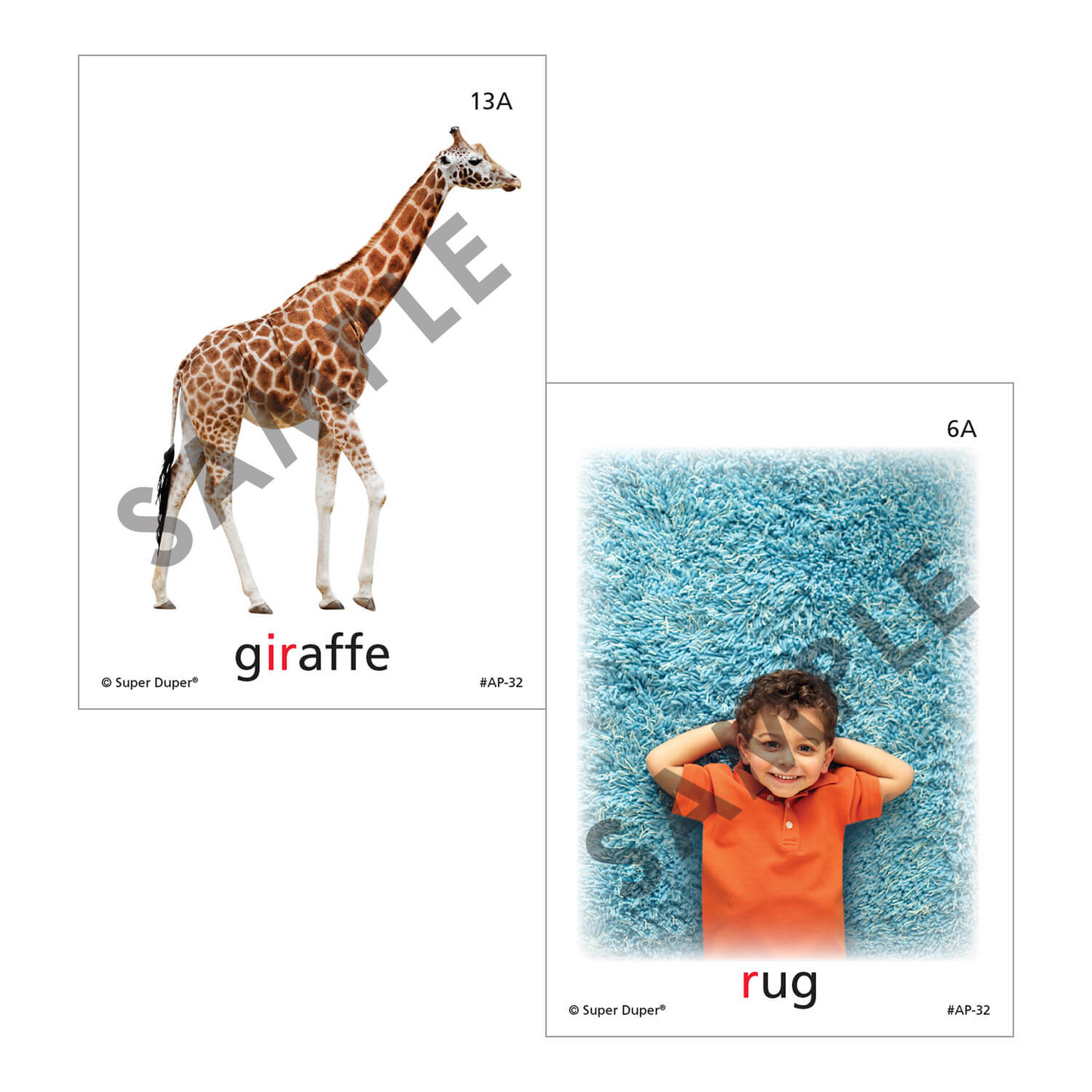 Artic Photos Fun Decks - Bundle 1