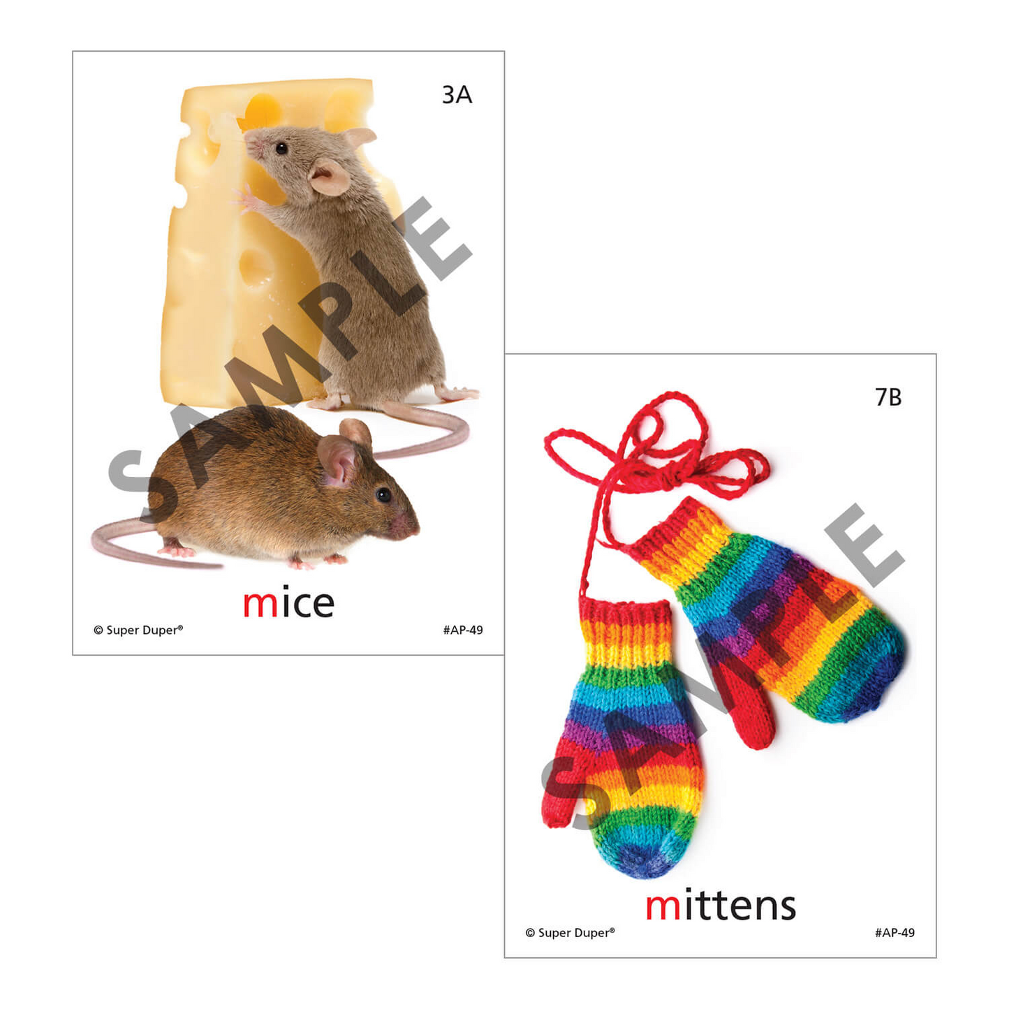 Artic Photos Fun Decks - Bundle 2