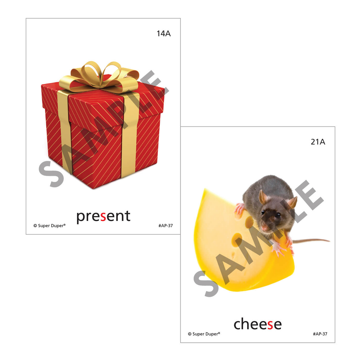 Artic Photos Fun Decks - Bundle 1
