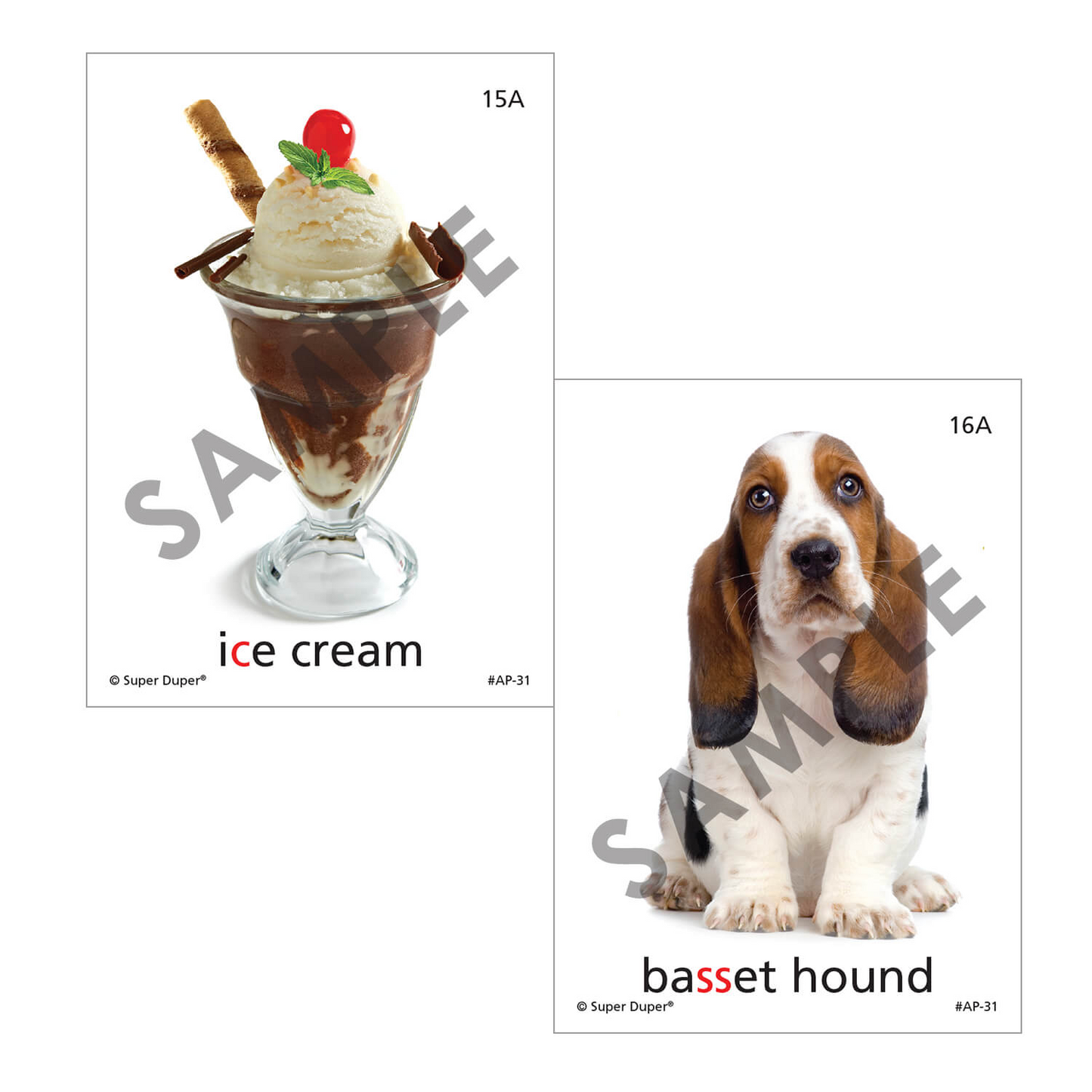Artic Photos Fun Decks - Bundle 1