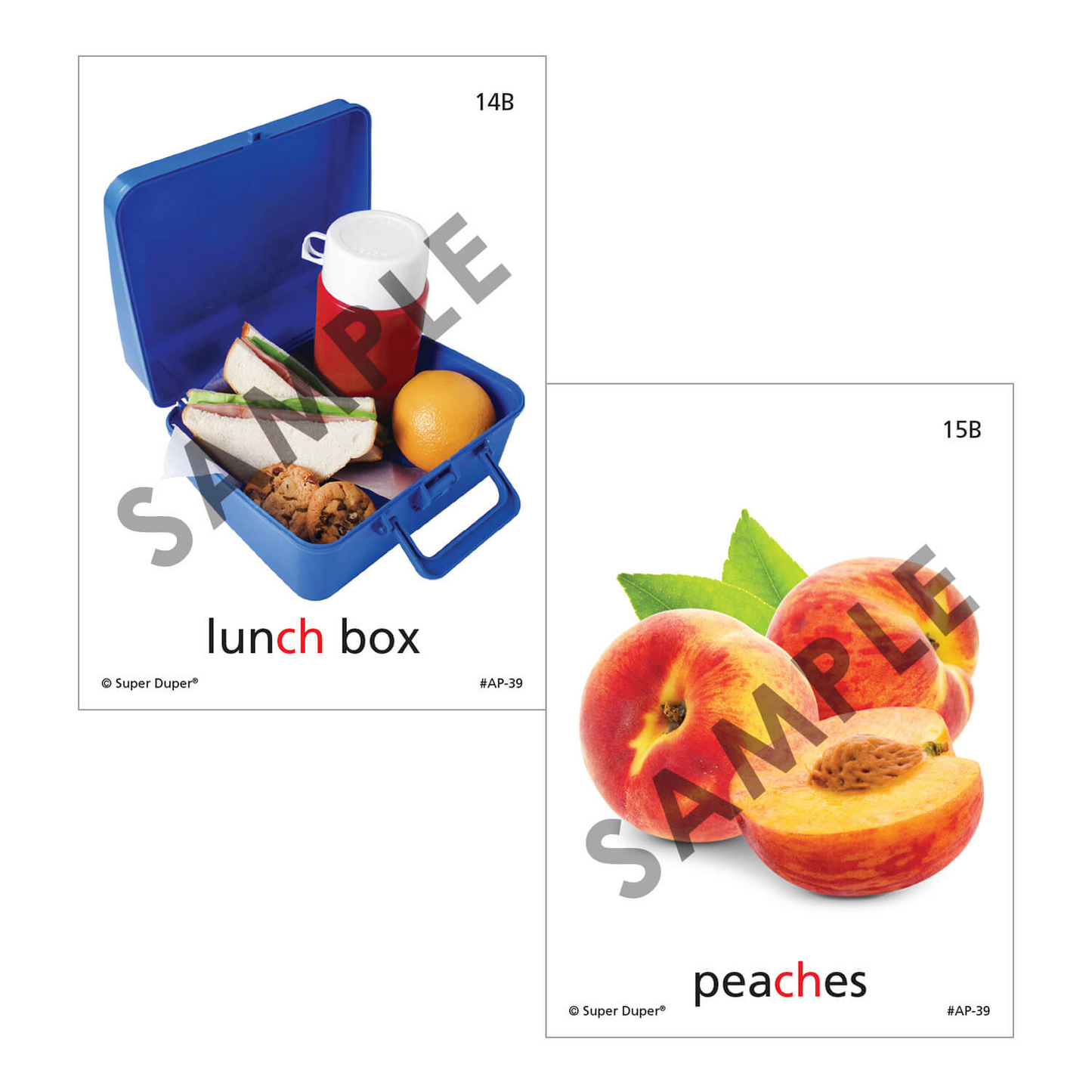 Artic Photos Fun Decks - Bundle 1