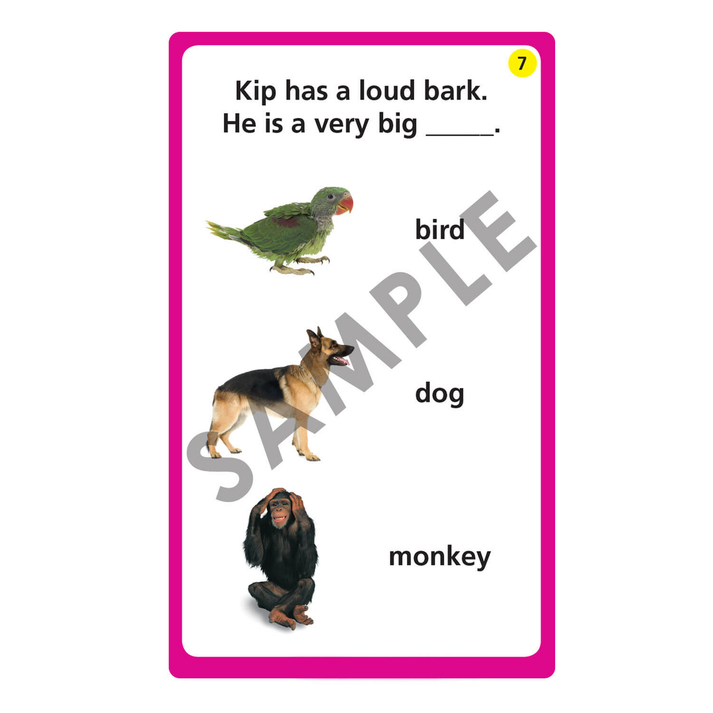 Inferencing with Nouns Cards