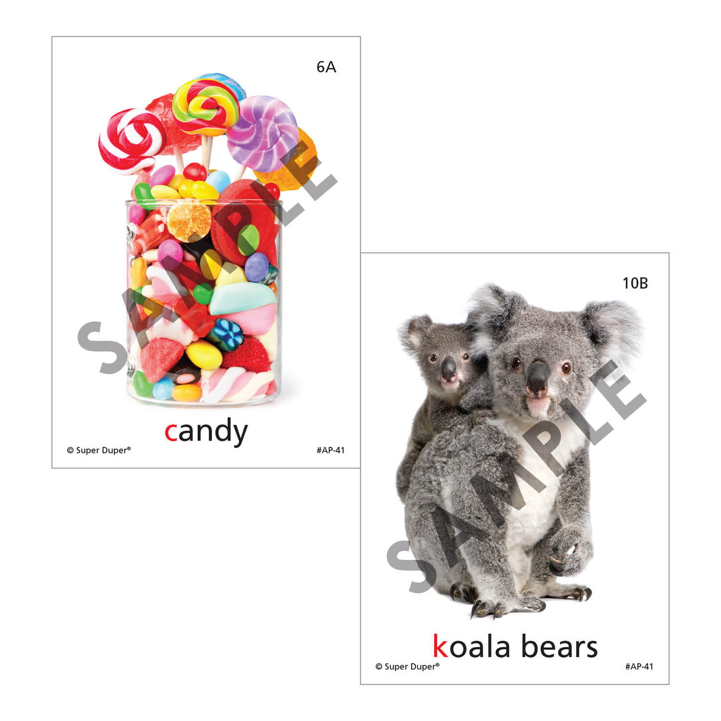 Artic Photos Fun Decks - Bundle 2