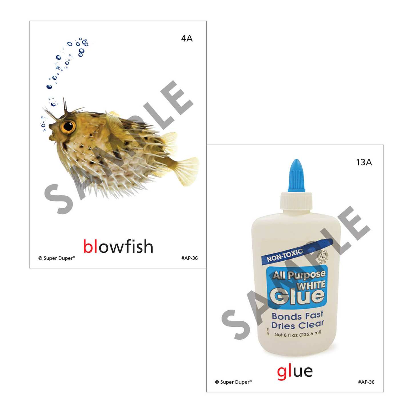 Artic Photos Fun Decks - Bundle 1