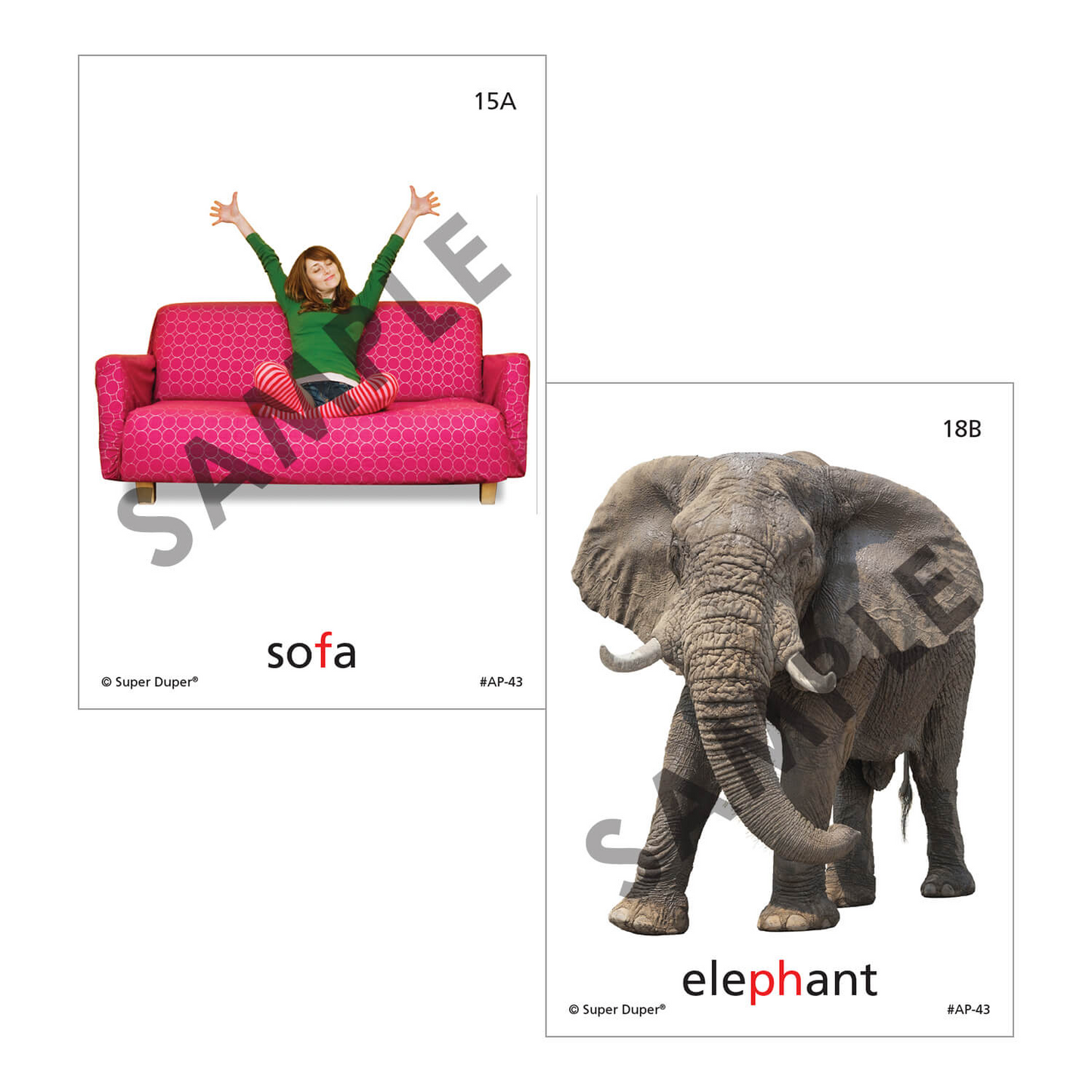 Artic Photos Fun Decks - Bundle 2