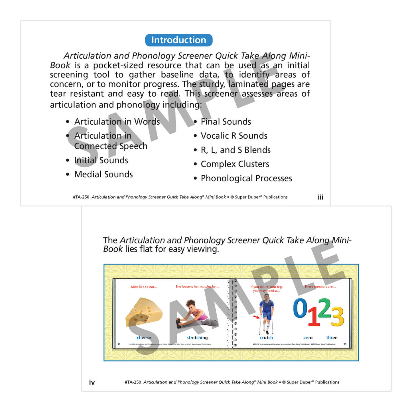 Articulation and Phonology Screener Quick Take Along