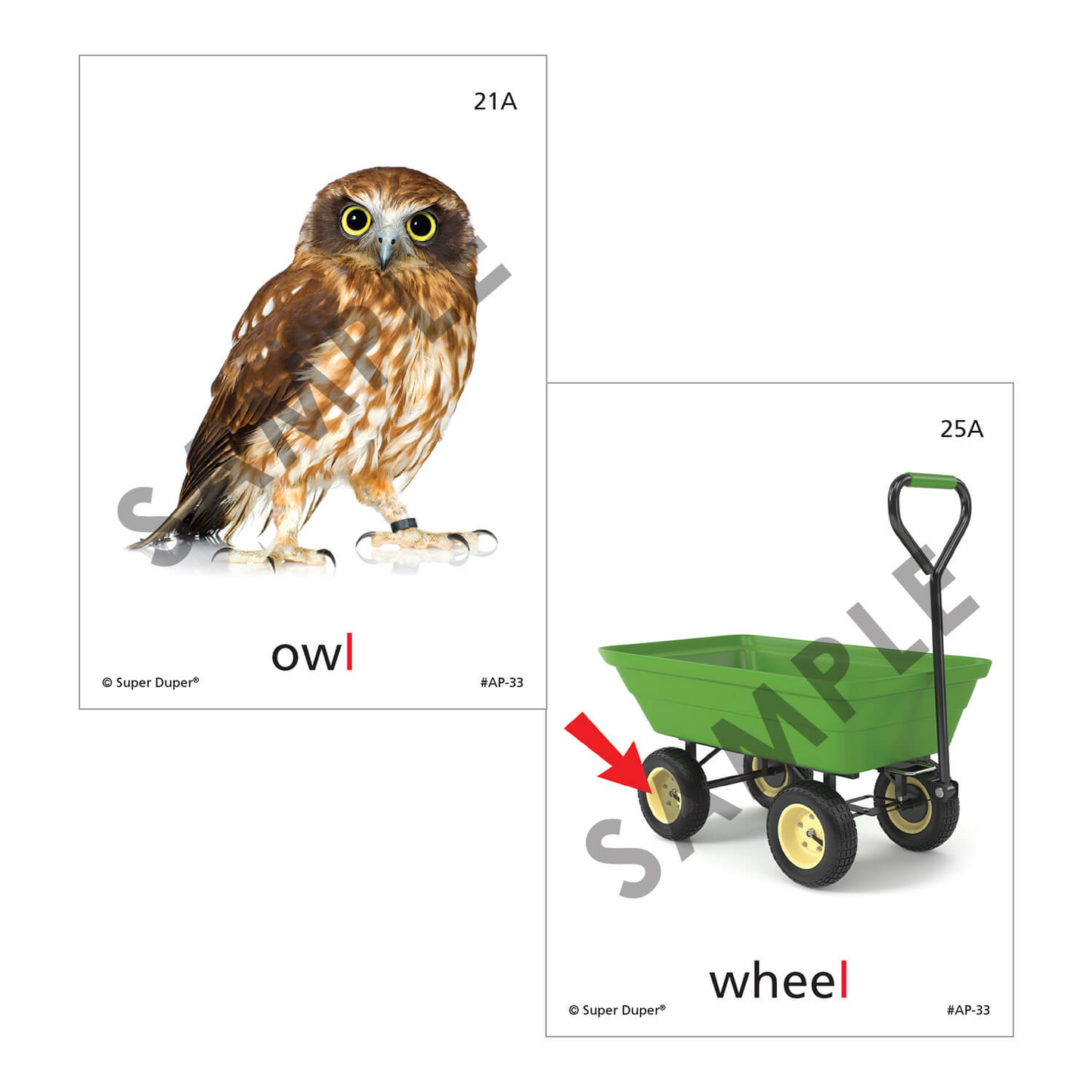 Artic Photos Fun Decks - Bundle 1