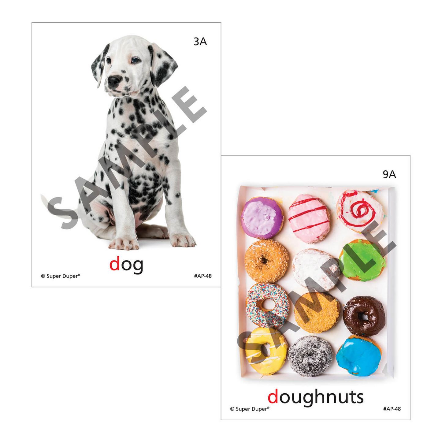 Artic Photos Fun Decks - Bundle 2