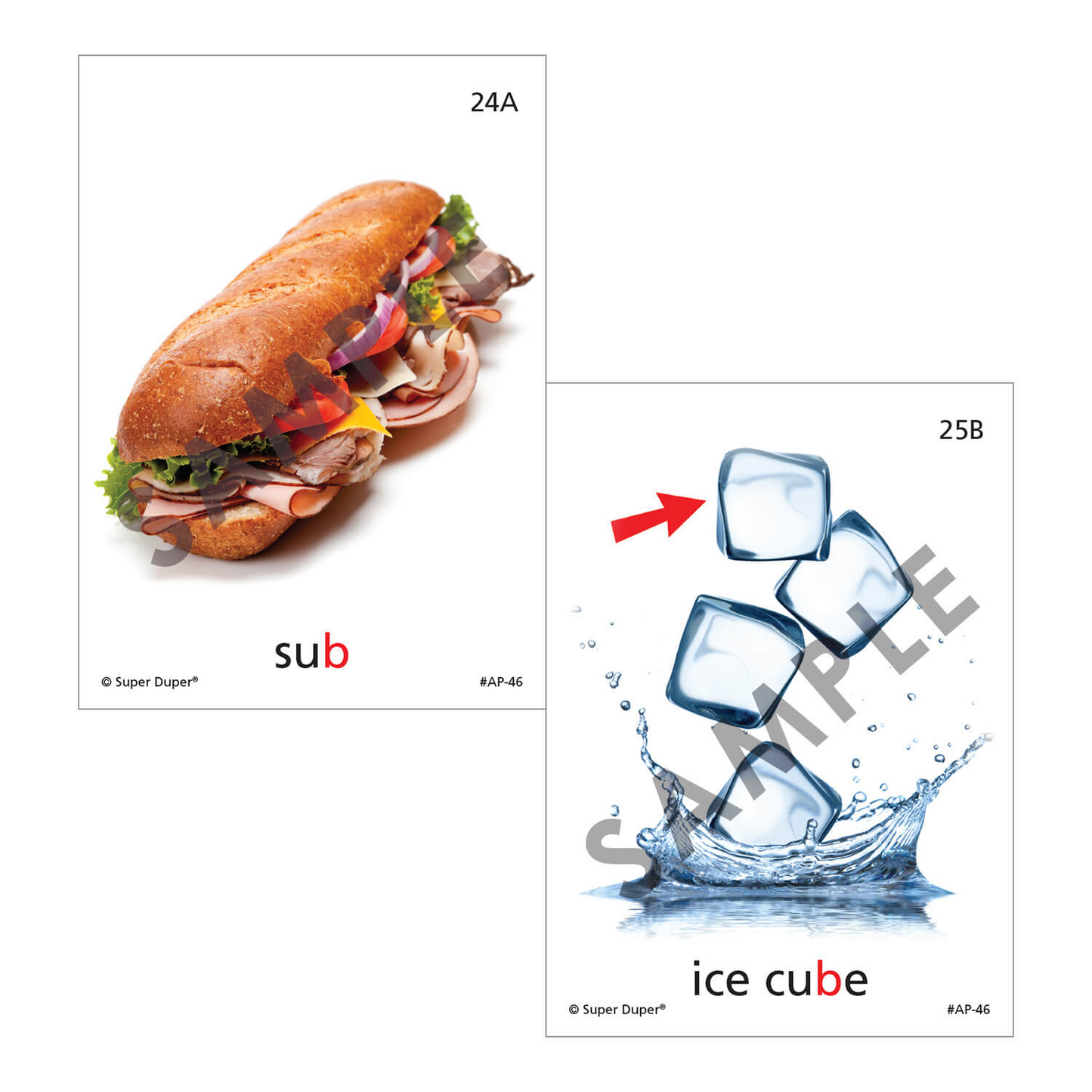 Artic Photos Fun Decks - Bundle 2