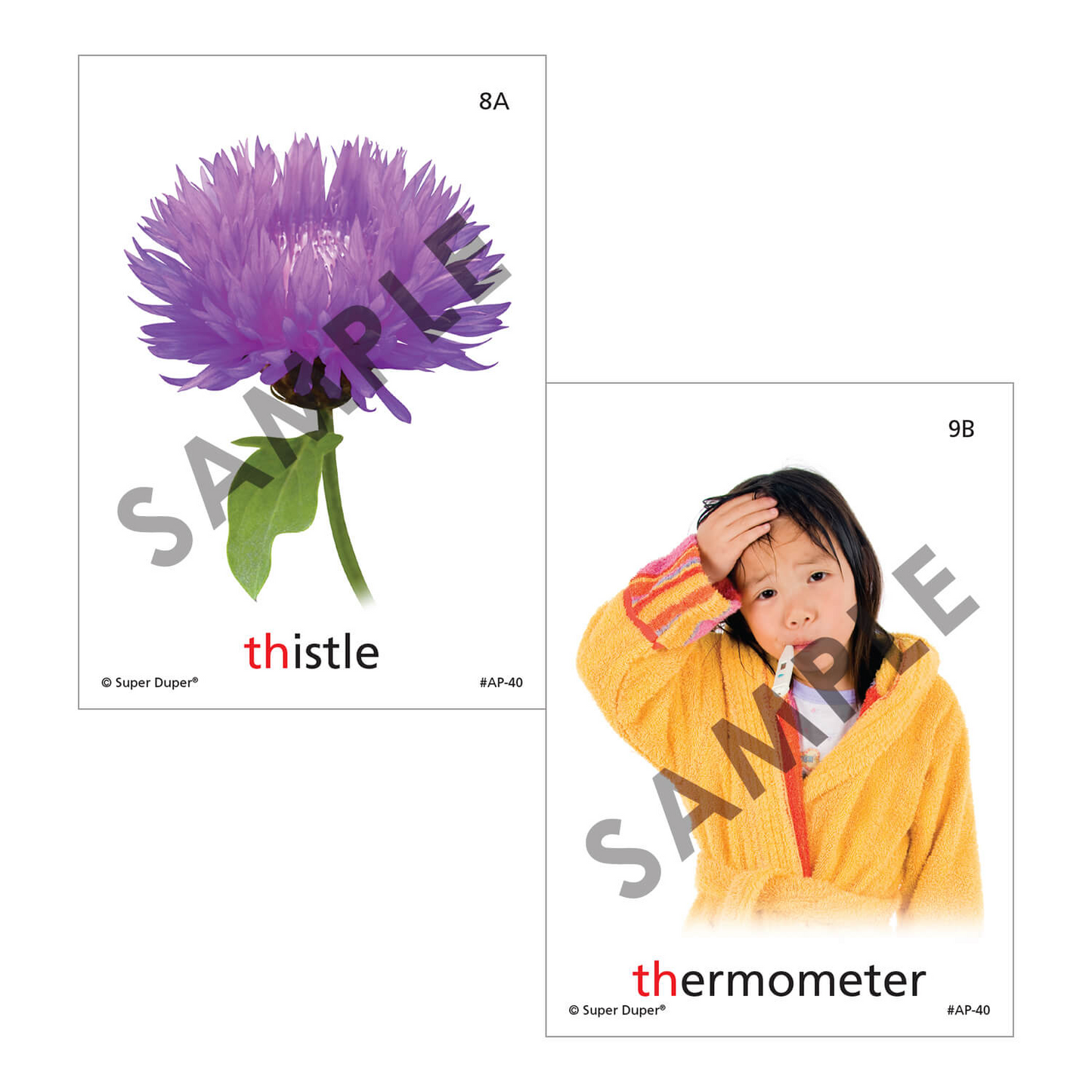 Artic Photos Fun Decks - Bundle 1