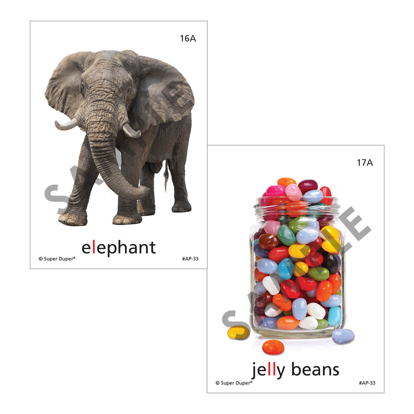 Artic Photos Fun Decks - Bundle 1