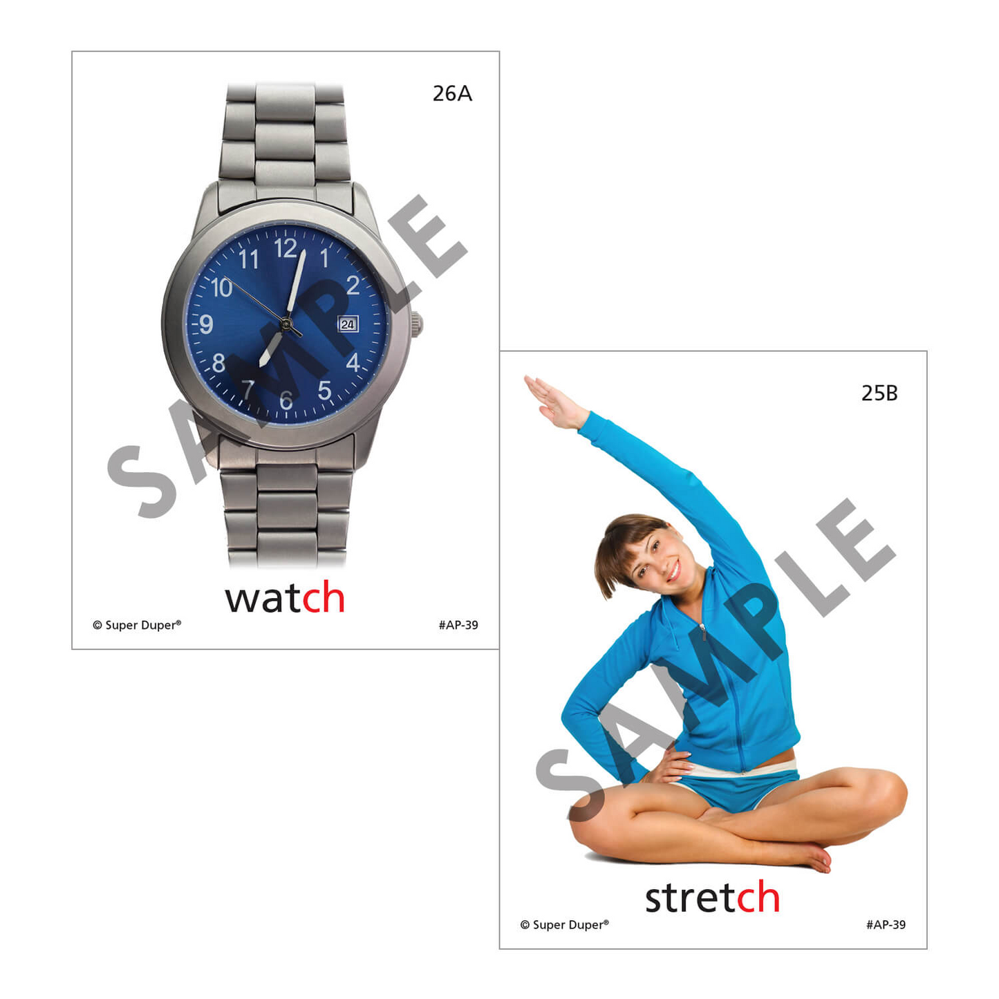 Artic Photos Fun Decks - Bundle 1