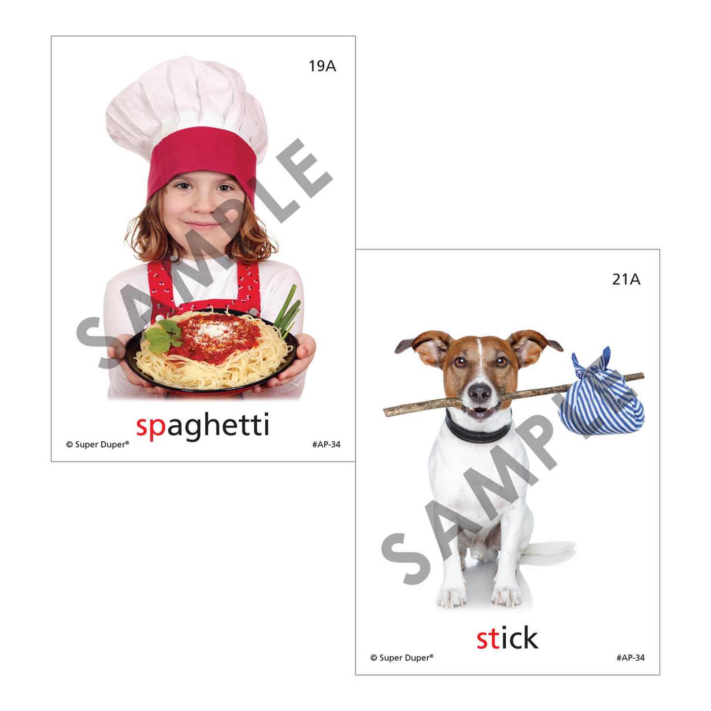 Artic Photos Fun Decks - Bundle 1