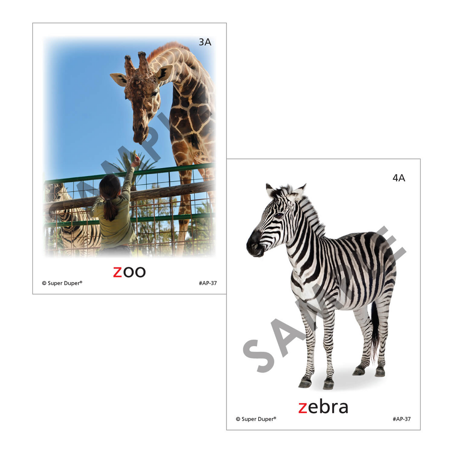 Artic Photos Fun Decks - Bundle 1