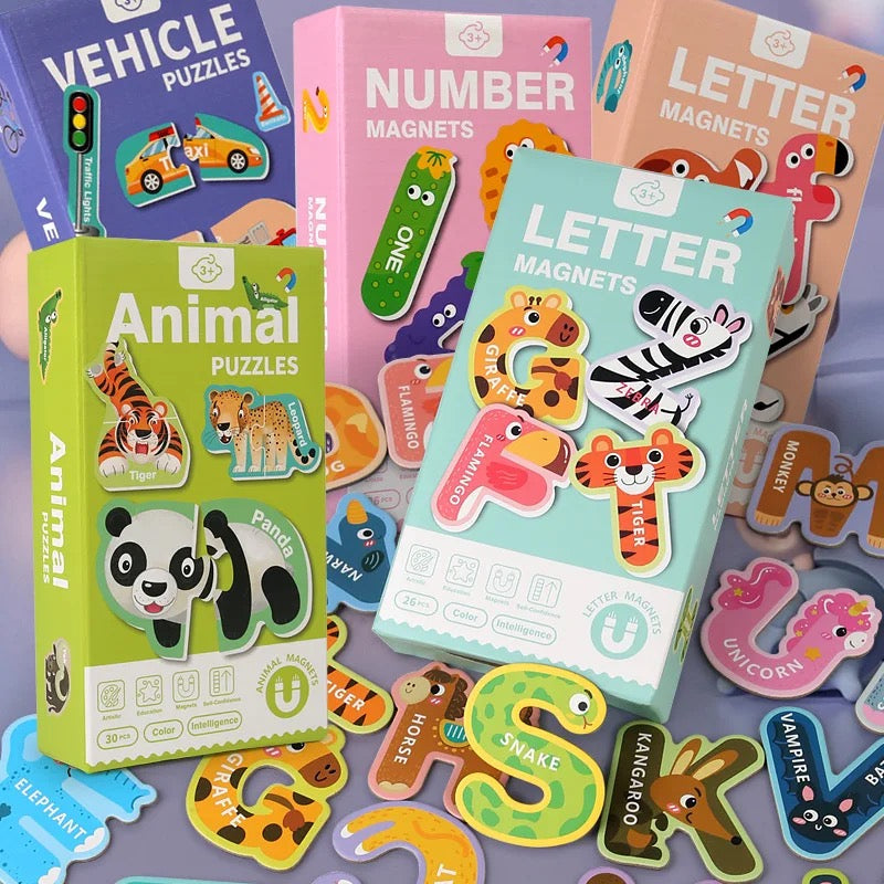 Magnetic Educational Puzzles