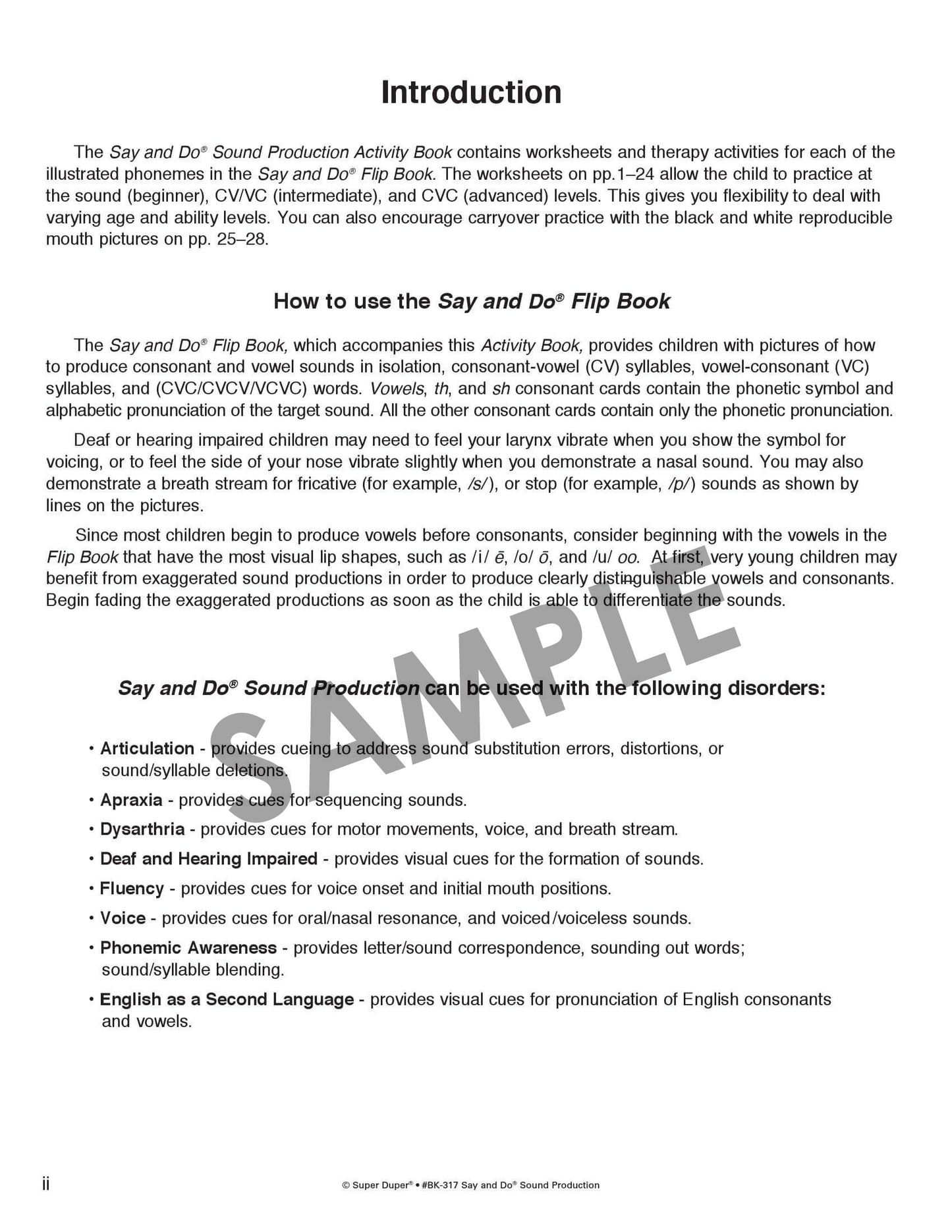 Say and Do Sound Production