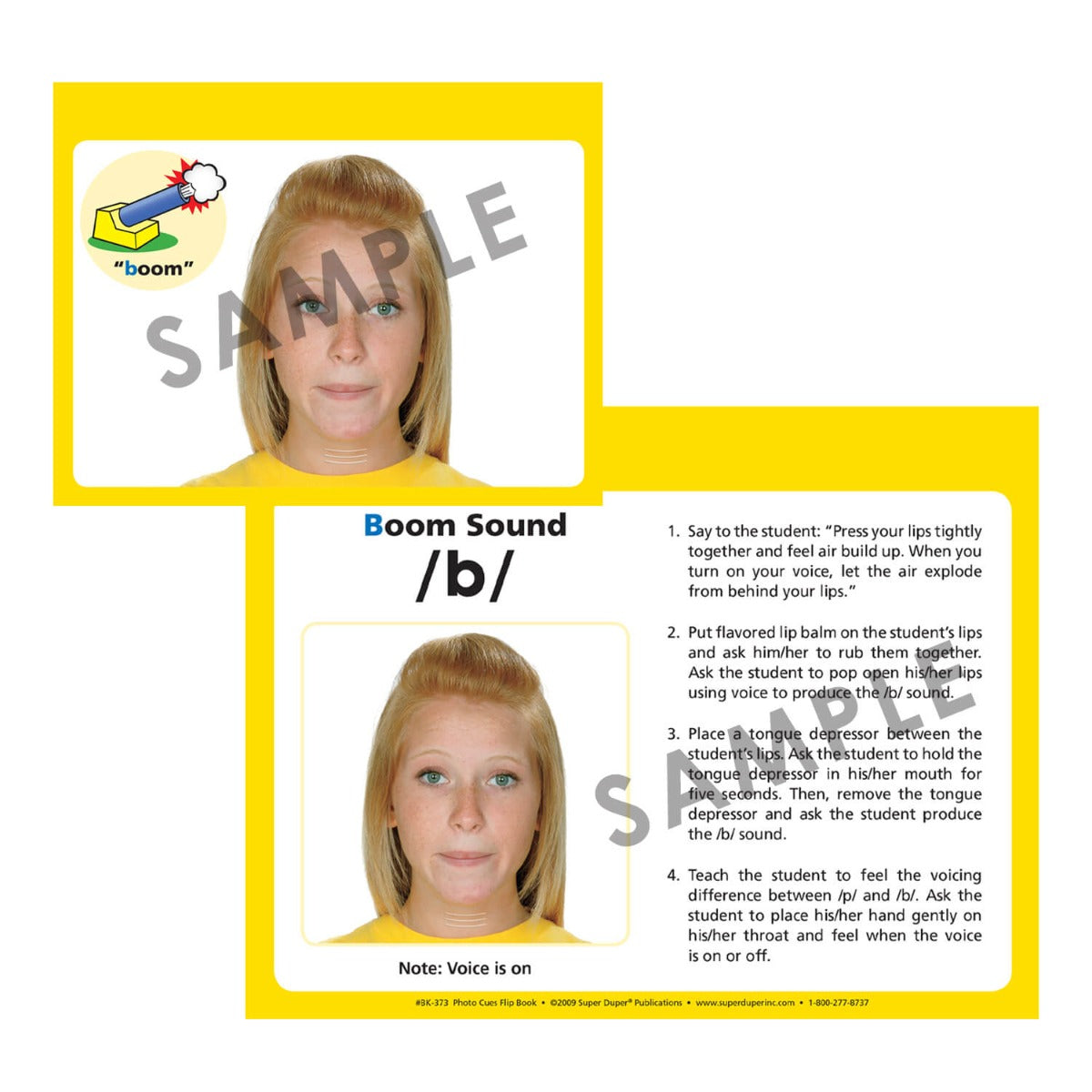 Photo Cues Flip Book and DVD