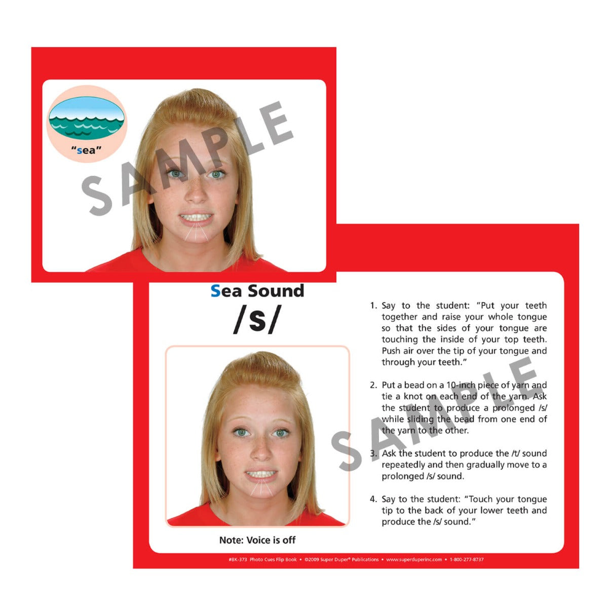 Photo Cues Flip Book and DVD
