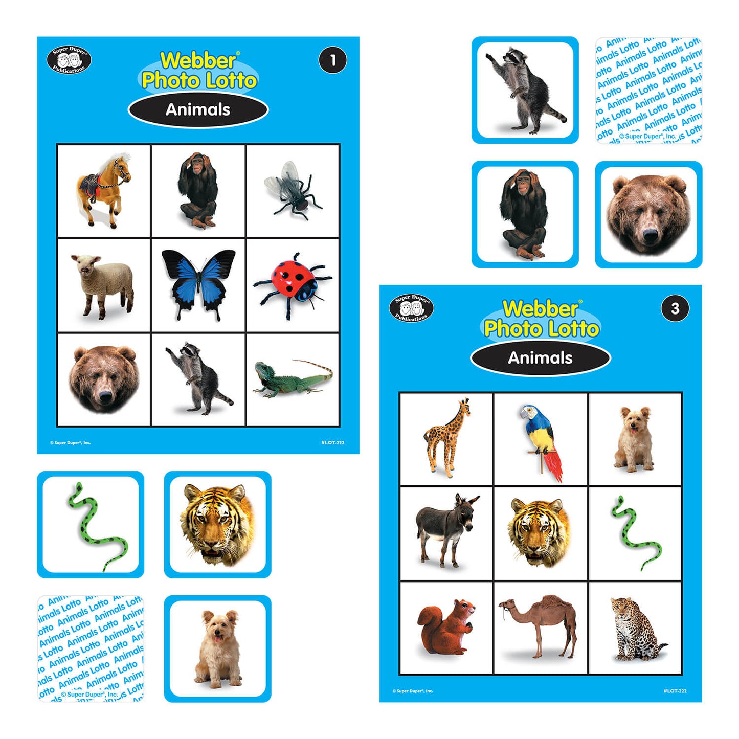 Webber Photo Lotto -Things to Wear and Animals