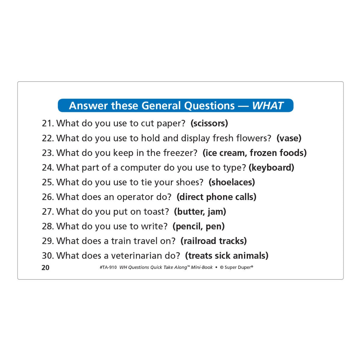 WH Questions Quick Take Along