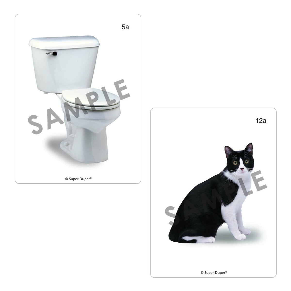 Webber Photo Cards - Around the Home