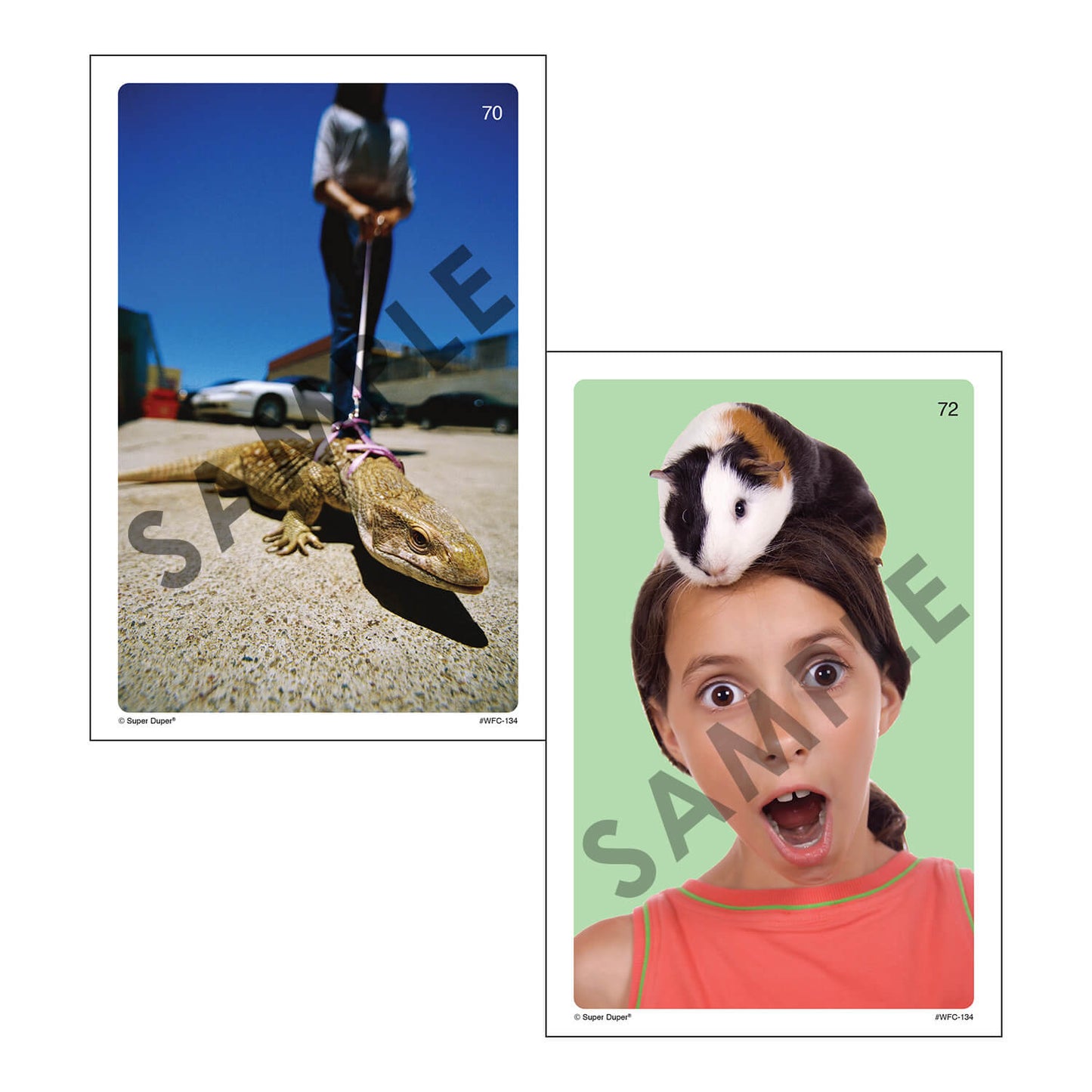 Webber Photo Cards - Story Starters