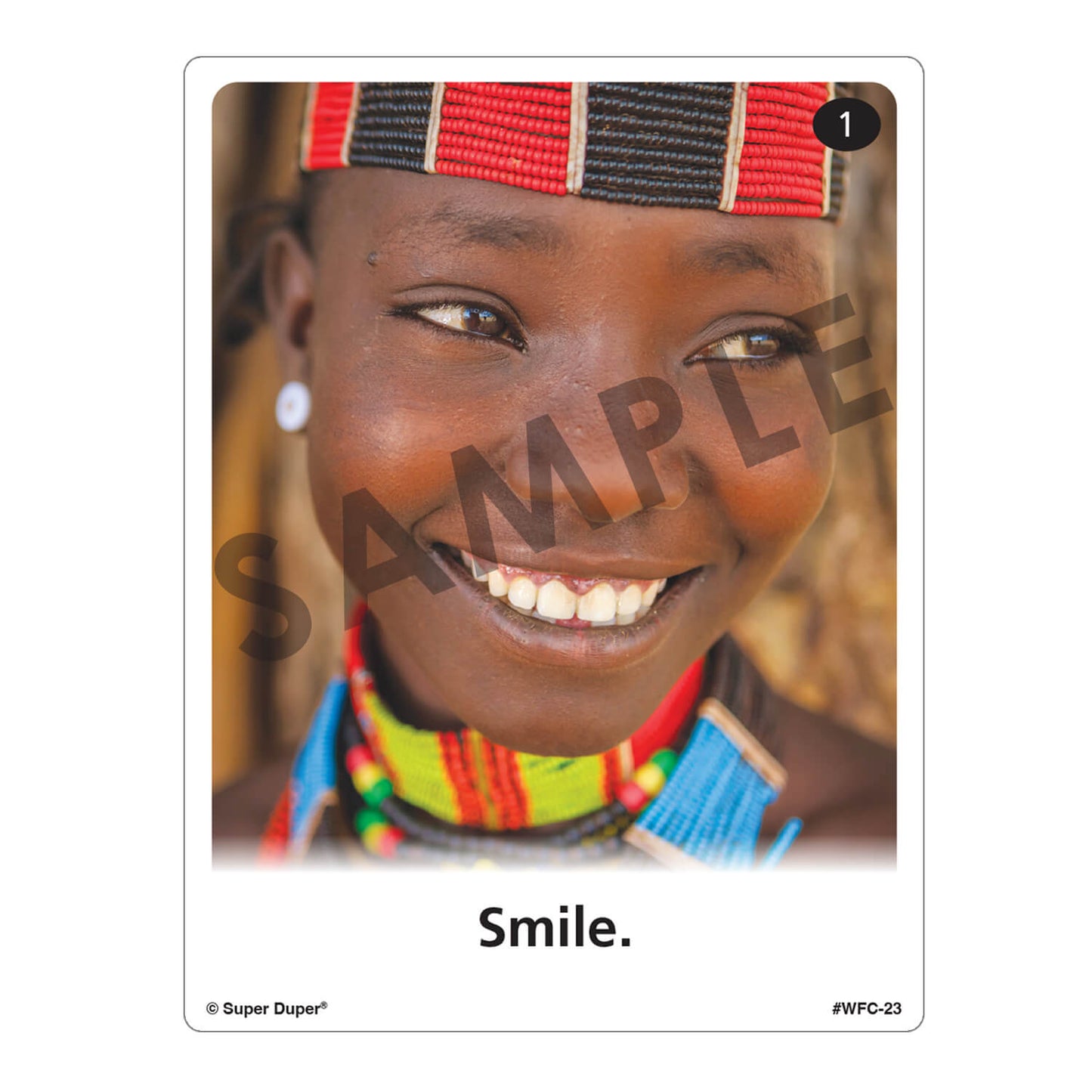 Webber Photo Cards - Following Directions