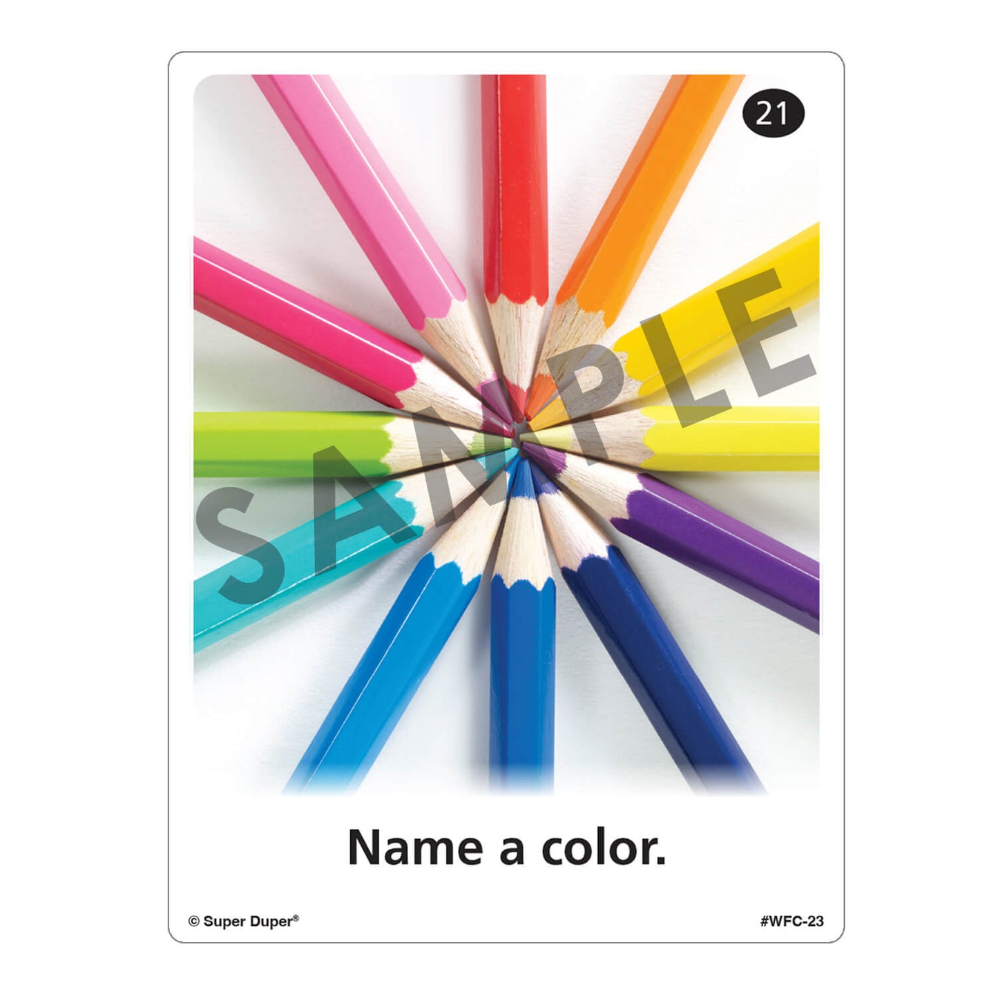 Webber Photo Cards - Following Directions