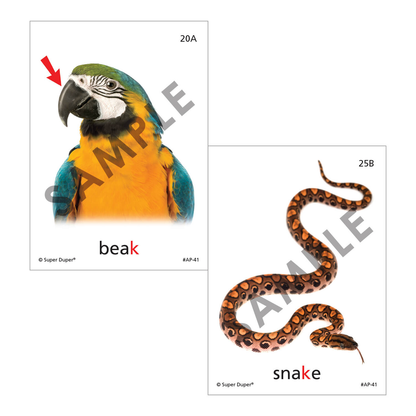 Artic Photos Fun Decks - Bundle 2