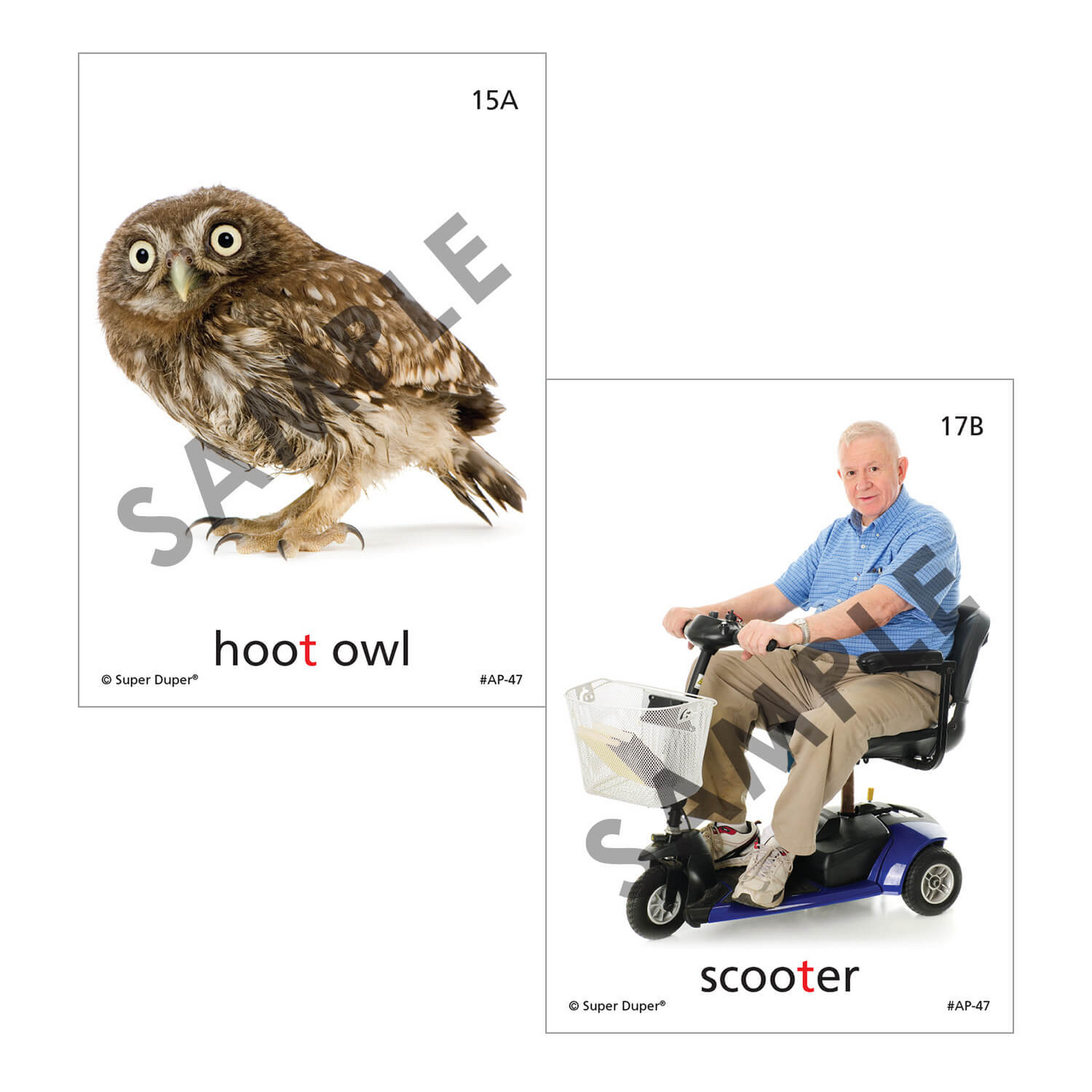 Artic Photos Fun Decks - Bundle 2