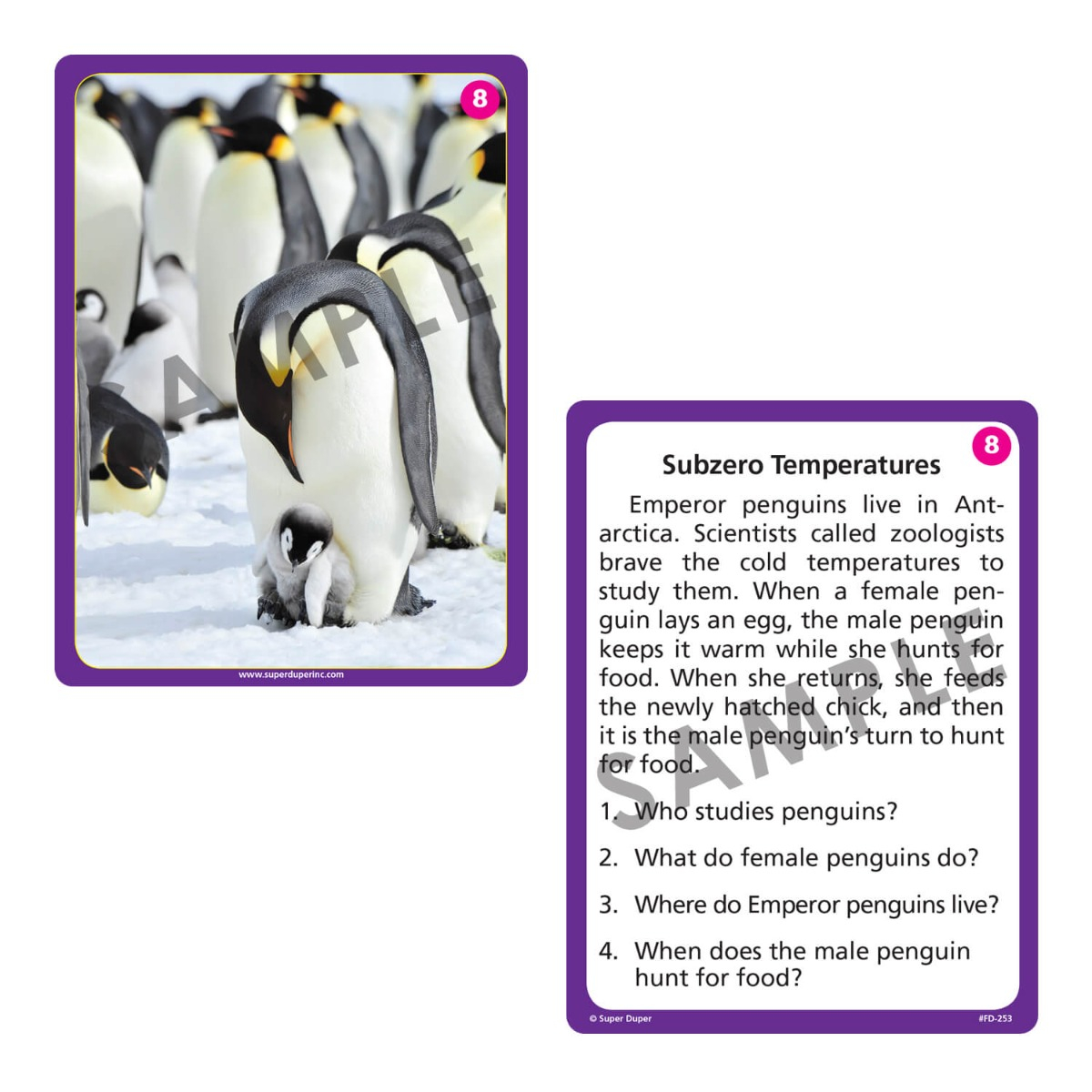 Photo Auditory Memory for Short Stories Fun Deck